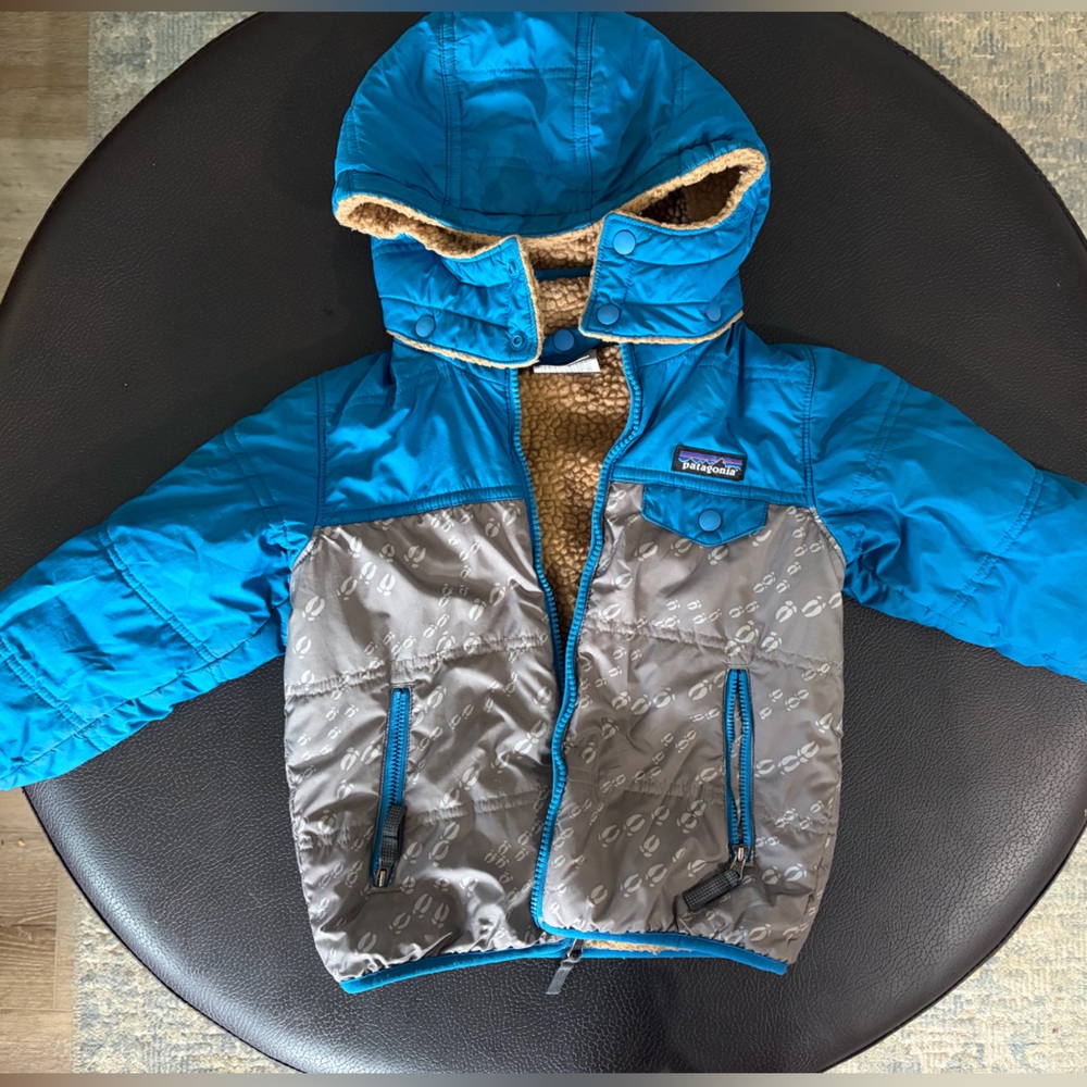 Patagonia Reversible Tribbles Hoodie
